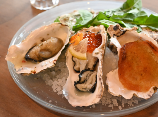 藻類×AIで地球を救う！