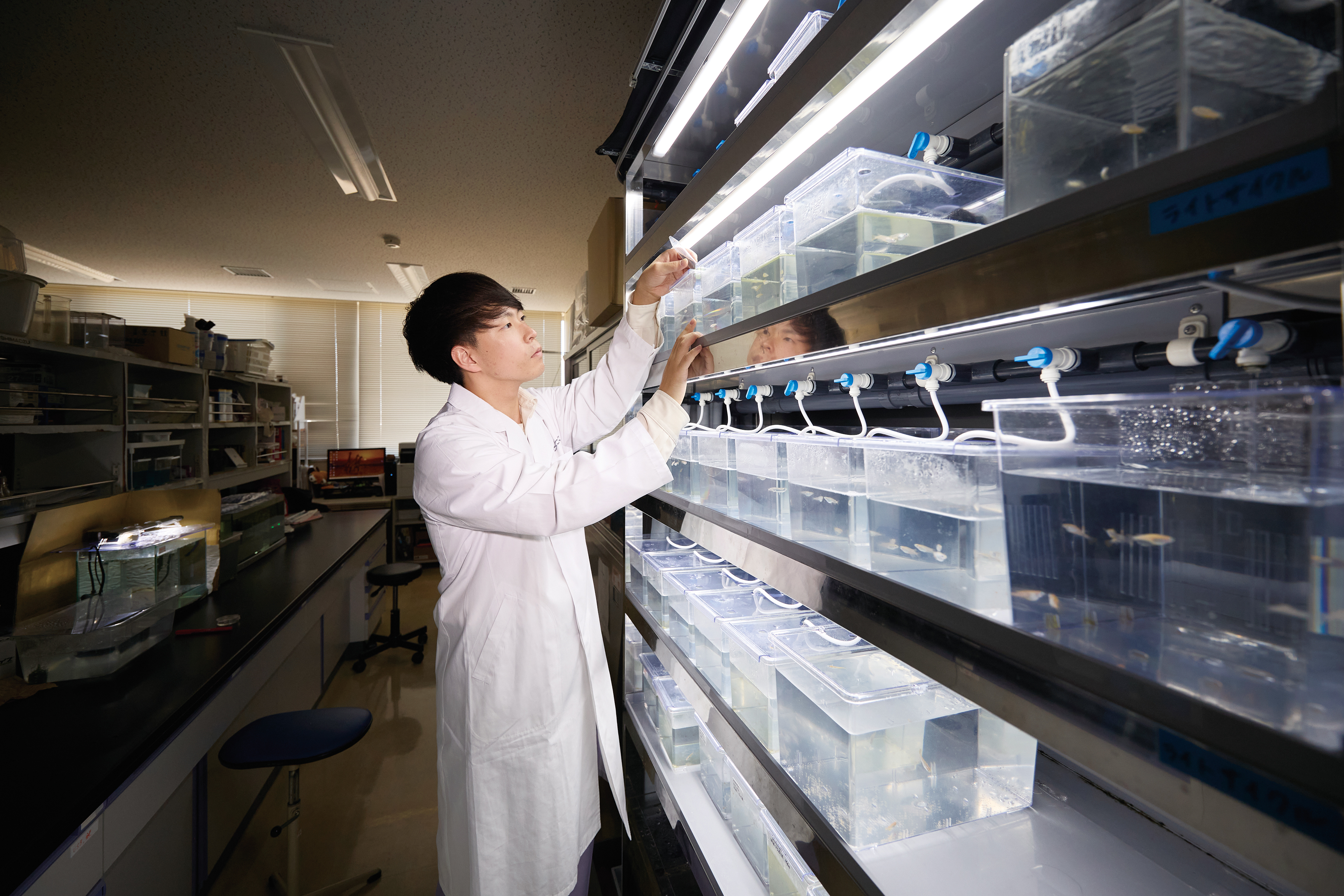 既存の知見に新たな視点を重ねることで生まれる可能性。