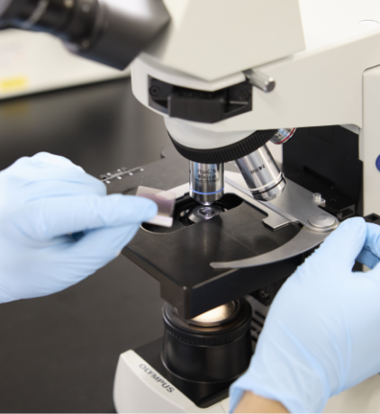 母の背中を見て、臨床検査技師をめざすことを決意。