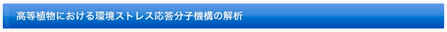 高等植物における環境ストレス応答分子機構の解析