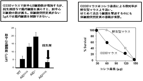 新蔵先生図.JPG