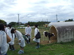 畜産センター見学2011.08.05 011.jpgのサムネール画像