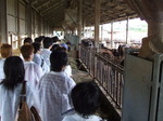 畜産センター見学2011.08.05 020.jpgのサムネール画像