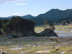 写真　小泉地区　津波で削られた山.JPGのサムネール画像