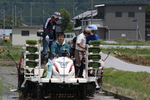 taue_05_24 (13).JPGのサムネール画像