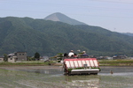 taue_05_24 (9).JPGのサムネール画像