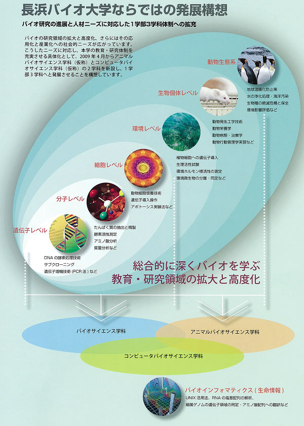 総合的に深くバイオを学ぶ教育・研究領域の拡大と高度化