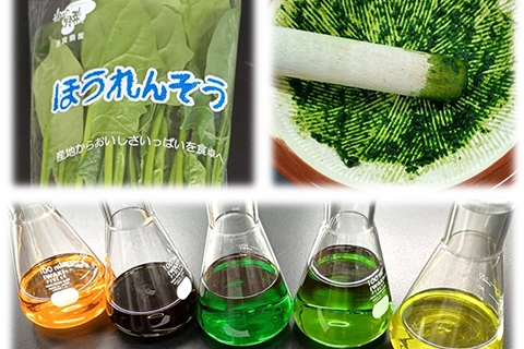 実験・実習プログラムのイメージ