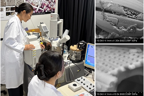 実験・実習プログラムのイメージ