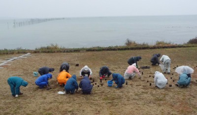 11月に実施た移植作業