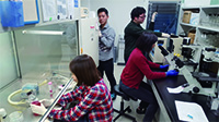 タンパク質修飾シグナル研究室