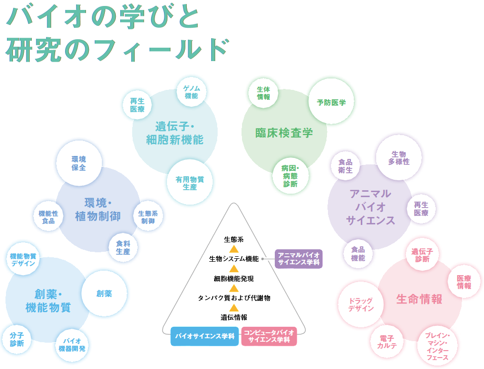 人類の“夢”を実現する新しい学問領域