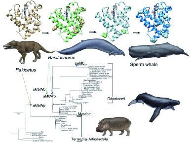 構造生物学研究室