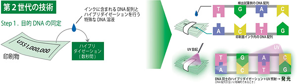 第2世代DNAインクの研究開発