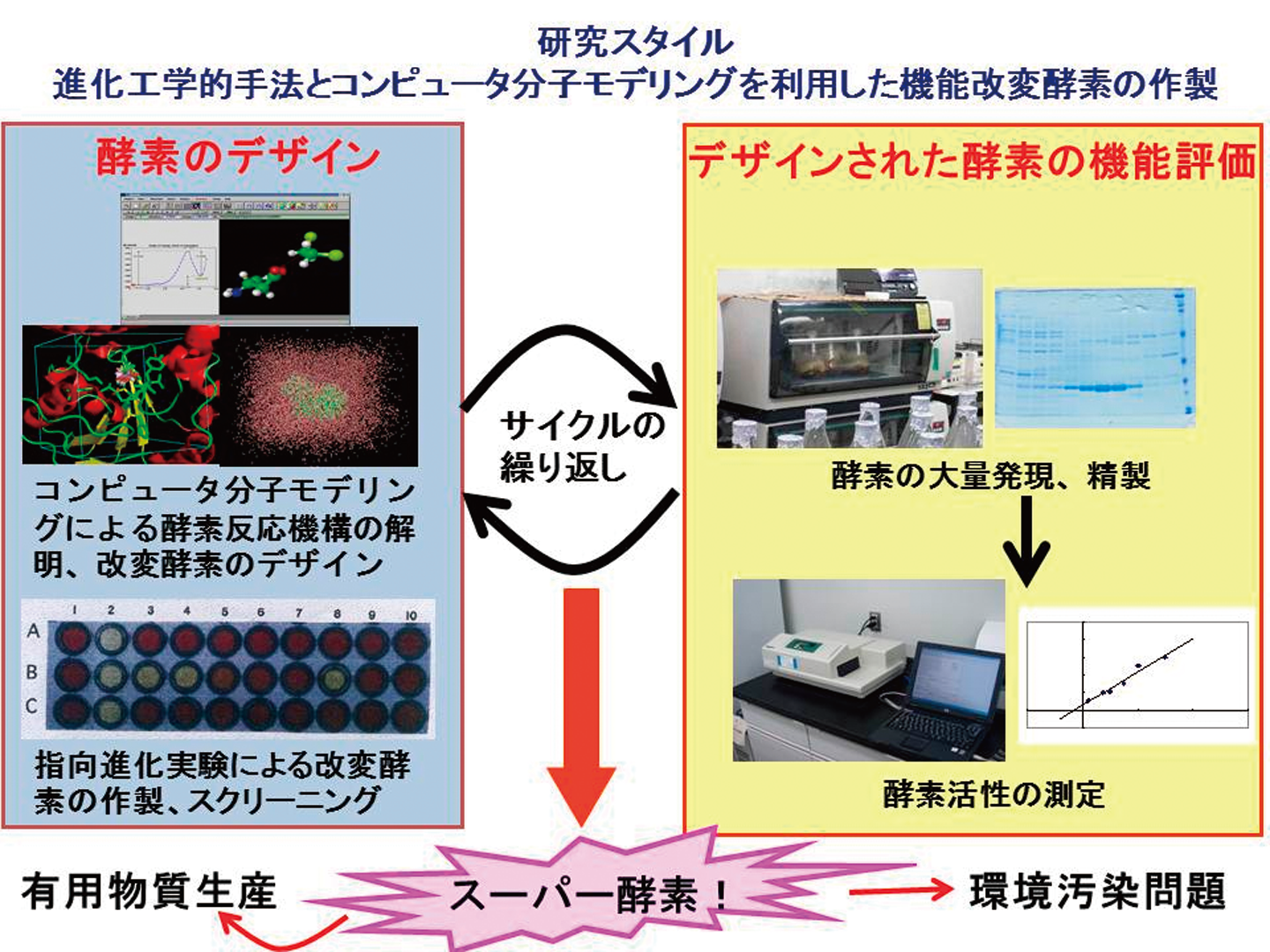 効率のよいシステイン発酵生産を可能にする大腸菌由来システイン合成酵素OASSL-DEX YL は有害物質分解へ、OPSSとOASS は有用物質生産への応用を目指している。