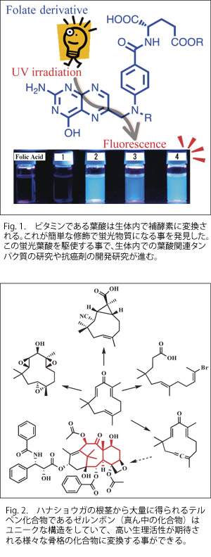 酵素を利用した新規生理活性物質の合成