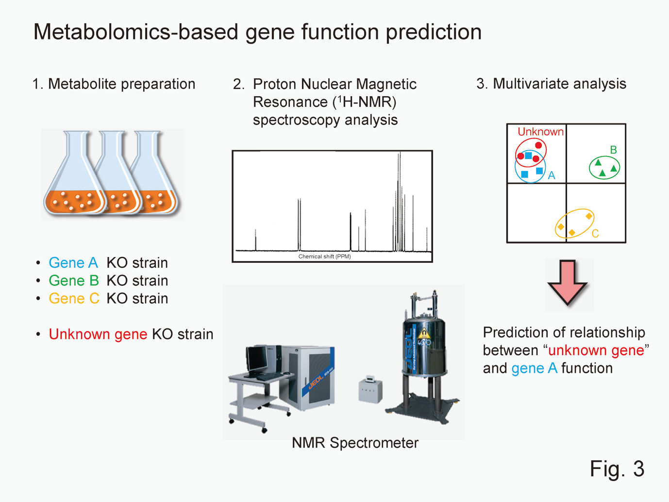 Metabolomics-based Gene Function Study