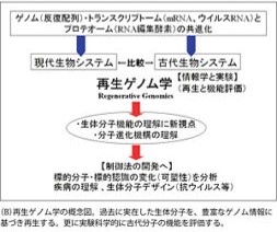 RNA編集機構の再生ゲノム学