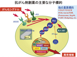 培養細胞に対する新規なイメージング技術の開発