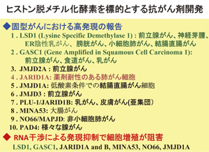 培養細胞に対する新規なイメージング技術の開発