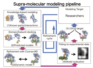 超分子モデリングパイプラインの開発
