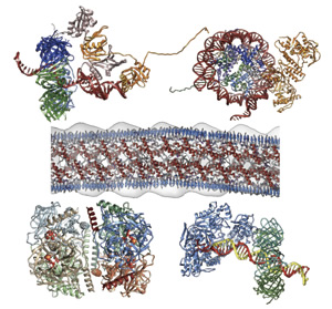 超分子構造生物学