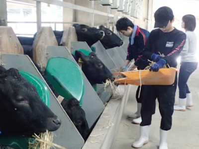 家畜飼養学実習