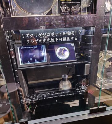 清水教授がNHK「ザ・バックヤード」に出演 ― ミズクラゲ操縦型ロボットが加茂水族館で常設展示へ